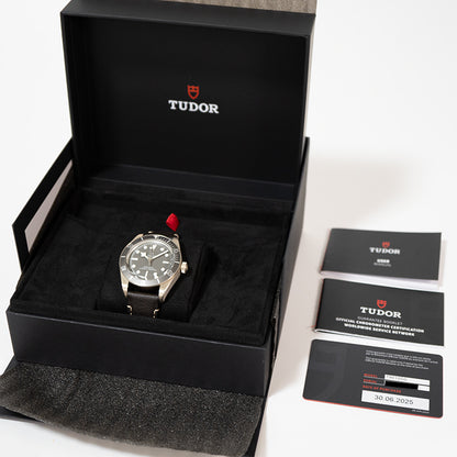 TUDOR チューダー ヘリテージブラックベイ フィフティエイト925 79010SG レザーストラップ 腕時計 メンズ 自動巻
